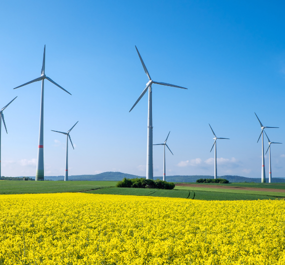 Sürdürülebilirlik Medyol Enerji